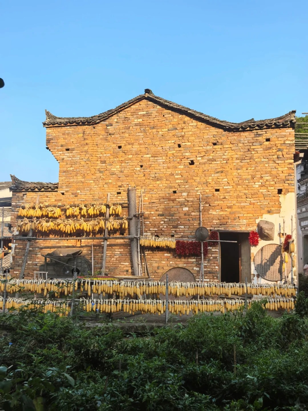 保姆级篁岭晒秋攻略！本地人亲授路线+打卡点_16_凡物可观_江西婺源-来自52tours 我爱旅游网